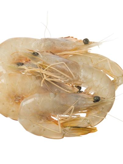 Fresh-Frozen-Shrimp.jpg