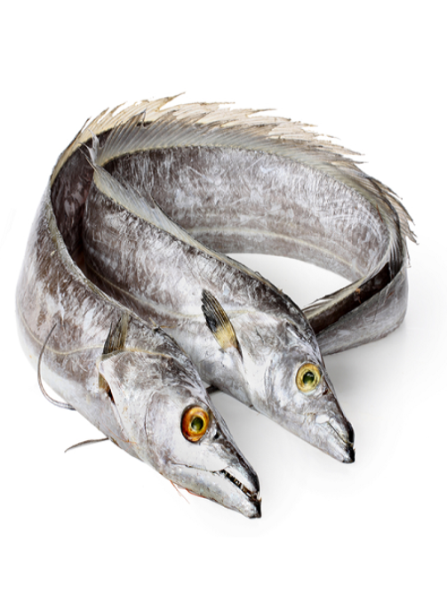 Frozen-Ribbon-Fish.png