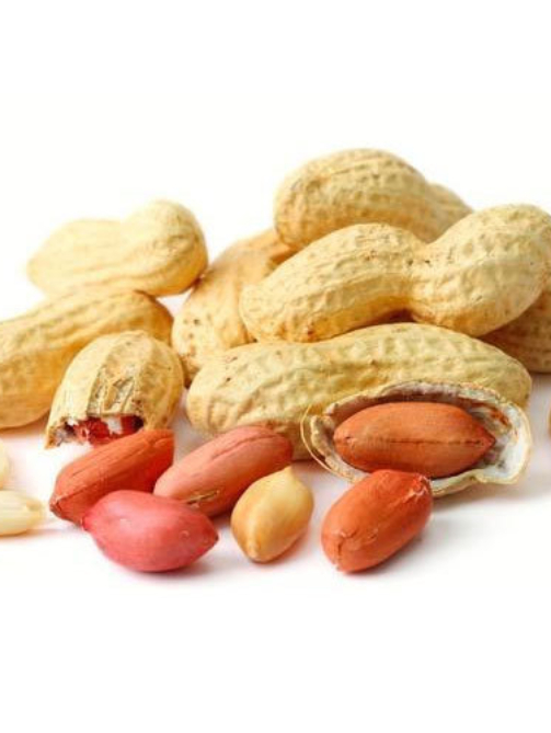 Groundnut.jpg