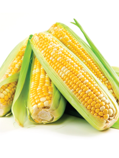 Yellow-and-white-corn.jpg