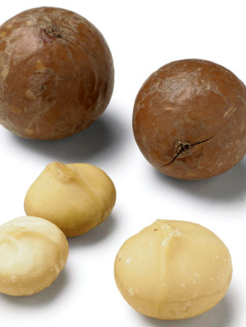 macadamia-nuts.jpg